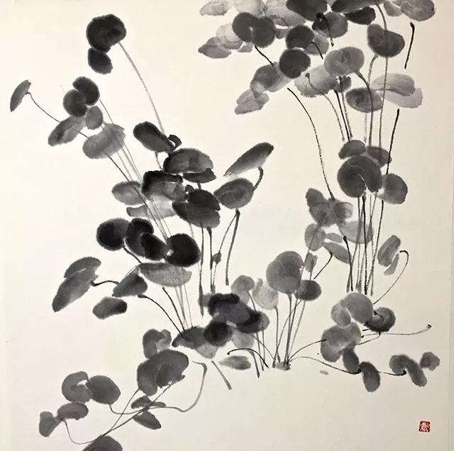 贾娜沿《铜钱草写生》48cmx48cm 宣纸 2018