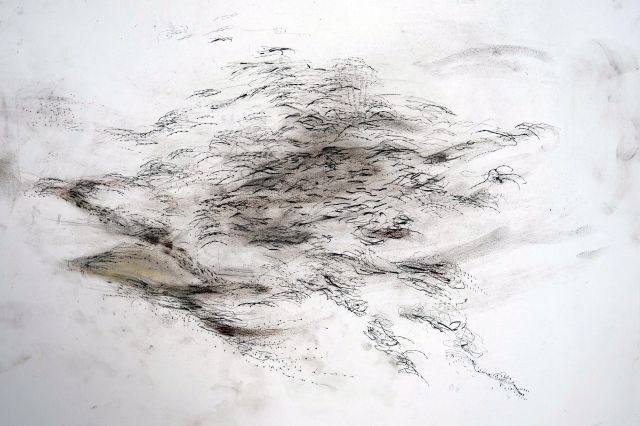 第14届沙迦双年展——走出回音室