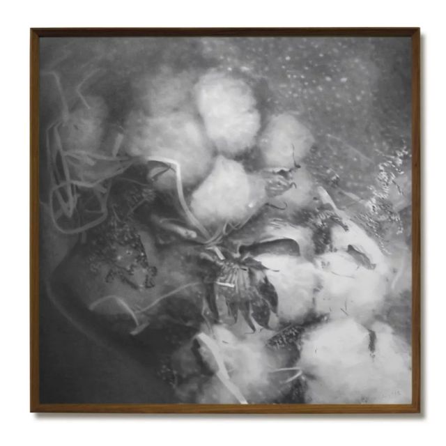 许良个展——所见即所得