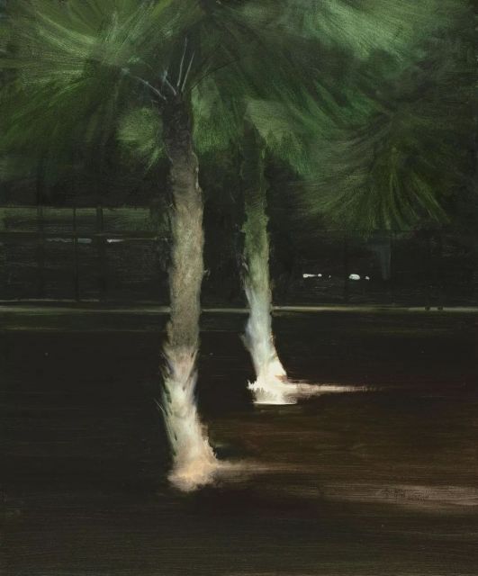 夜游白日梦