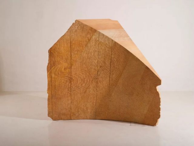 后自然——UCCA沙丘美术馆开幕展