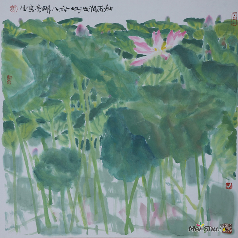 《细雨润池》作者：周明亮 规格：68×68cm 品类：中国画