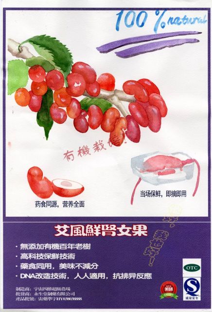 单向回收站——黄引个展