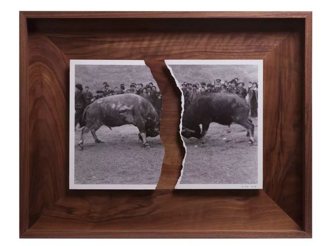 造相术——蔡东东个展