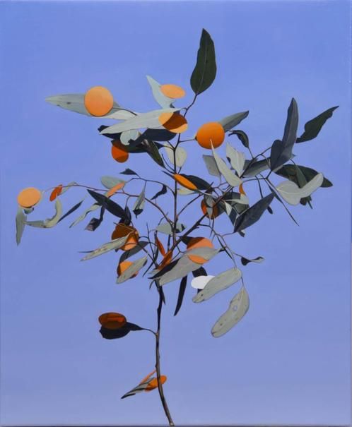 胡安·福特个展