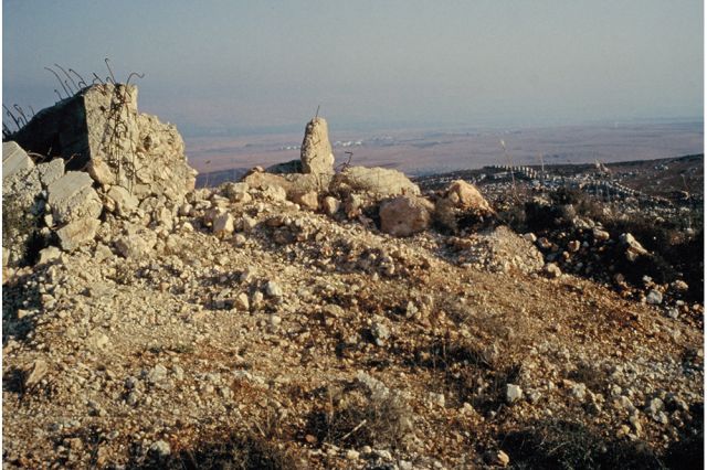 Paola Yacoub - Radical Grounds