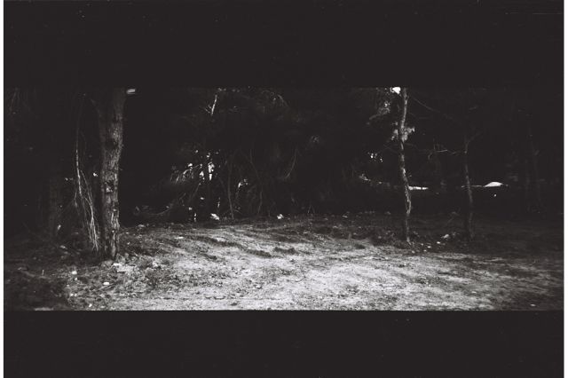 Paola Yacoub - Radical Grounds