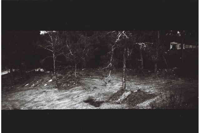 Paola Yacoub - Radical Grounds