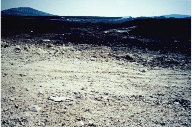 Paola Yacoub - Radical Grounds