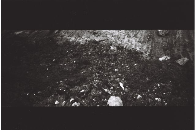 Paola Yacoub - Radical Grounds