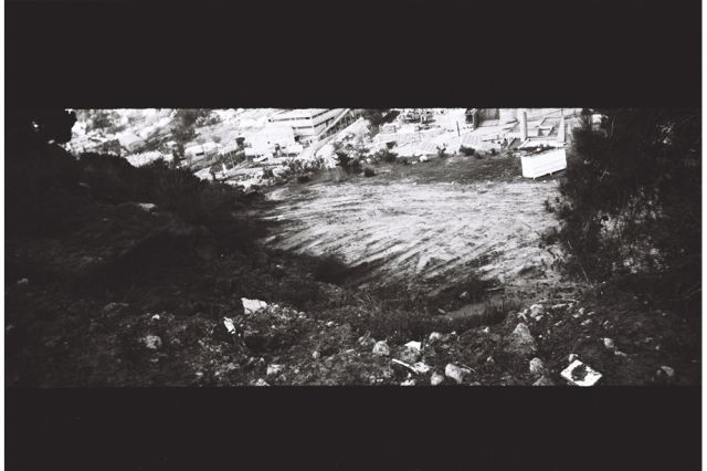 Paola Yacoub - Radical Grounds