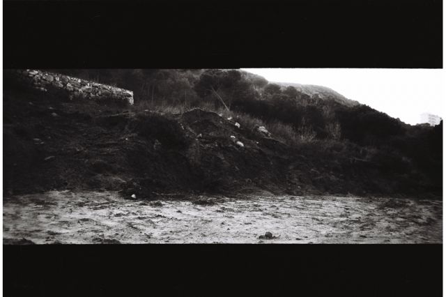 Paola Yacoub - Radical Grounds