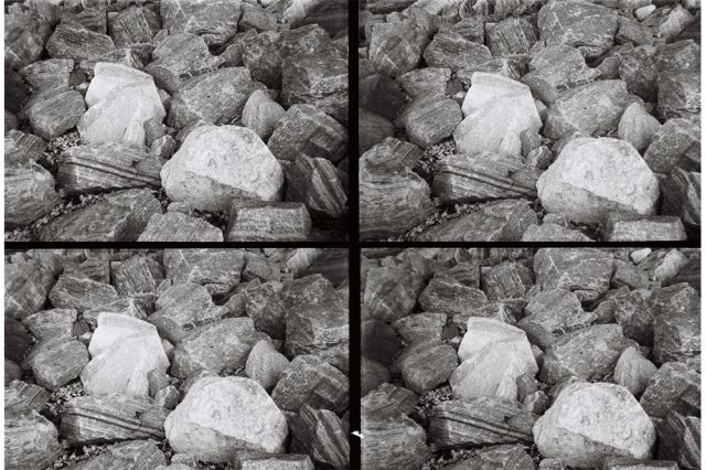 Paola Yacoub - Radical Grounds