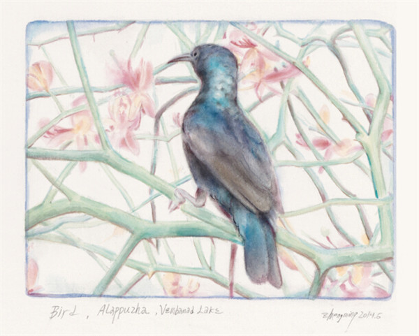 祝铮鸣 翠鸟 25×32cm 纸本水彩 2014
