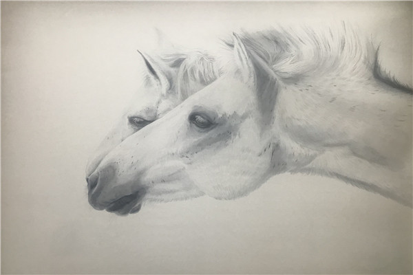 李关关 二分之一 孑孓 60x90cm 绢本水墨 2018