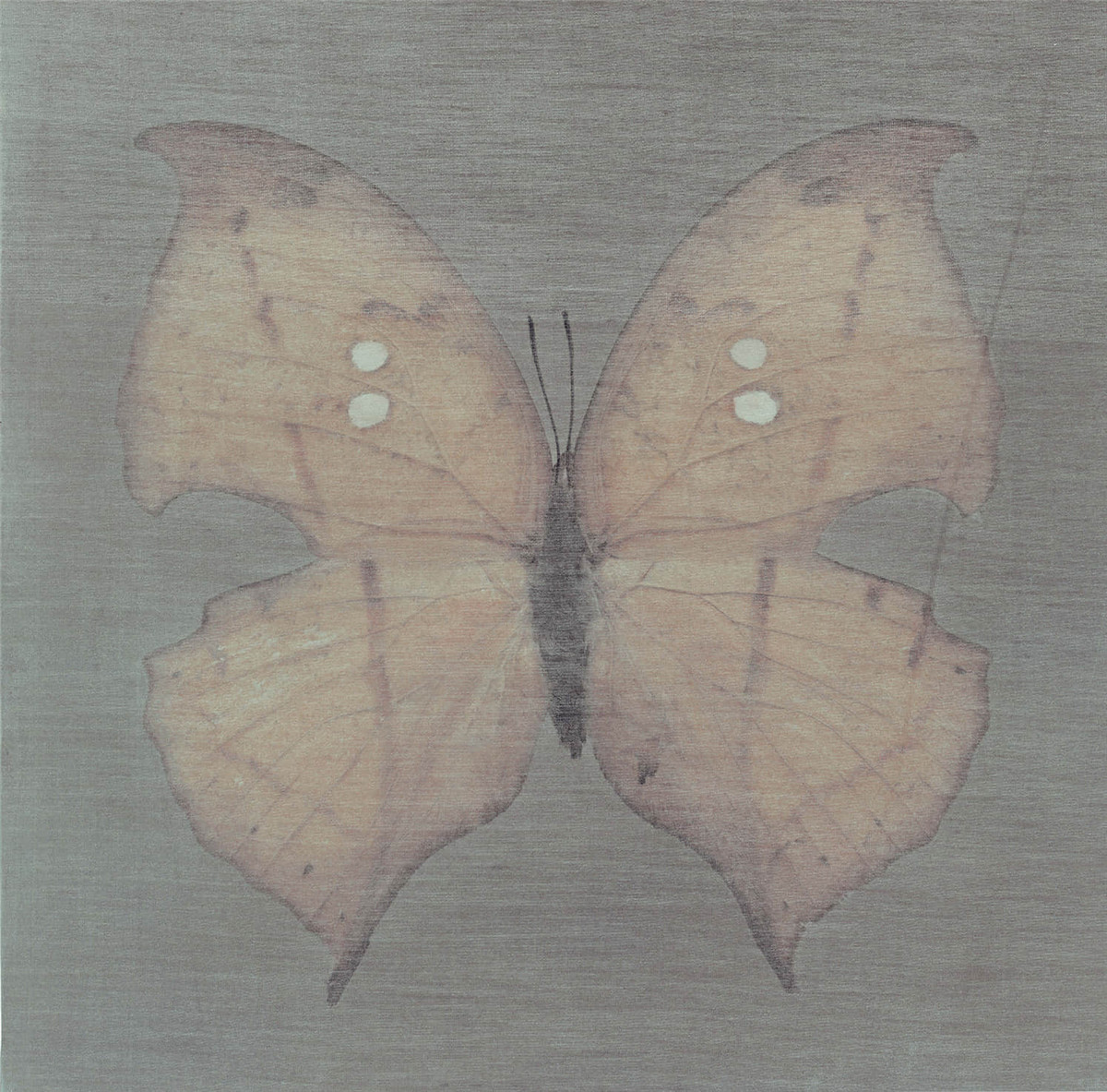不期而遇——姚蓉蓉作品展