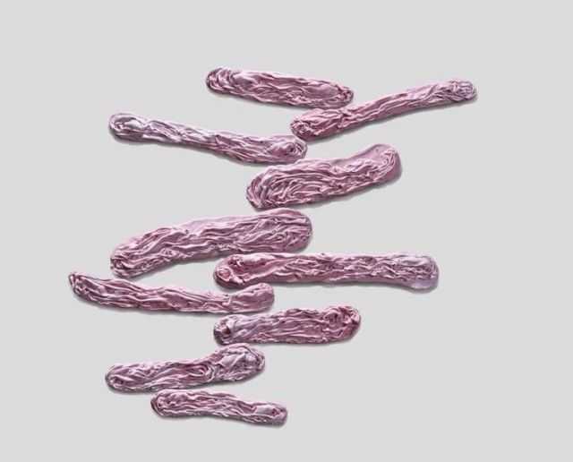 柳溪个展——灶