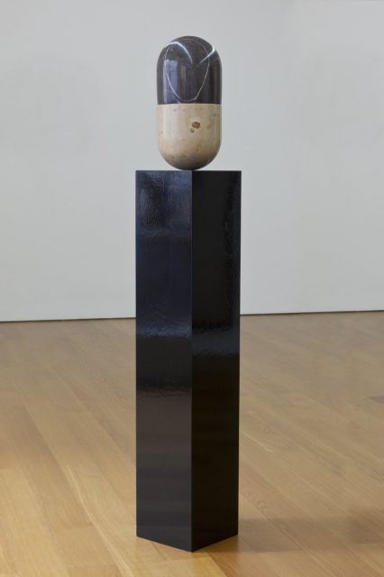 Thomas Zipp - A Frozen Fountain (the family of pills)