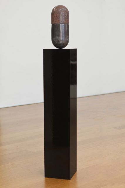 Thomas Zipp - A Frozen Fountain (the family of pills)