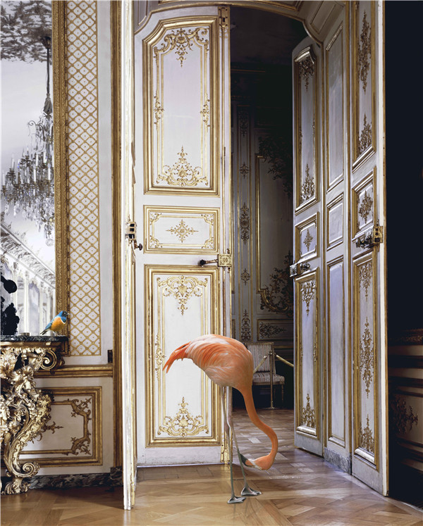 Karen Knorr_Fables 1_The Battle Gallery