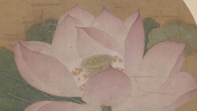 故宫有一朵荷花，盛开了 近千年……