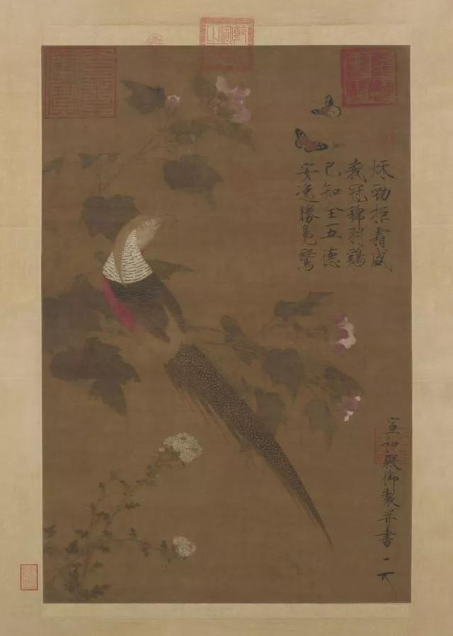 故宫有一朵荷花，盛开了 近千年……
