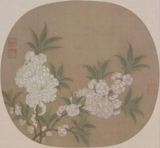 故宫有一朵荷花，盛开了 近千年……