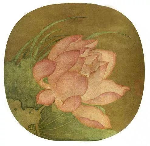 故宫有一朵荷花，盛开了 近千年……