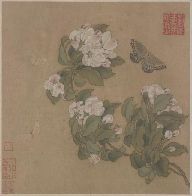 故宫有一朵荷花，盛开了 近千年……