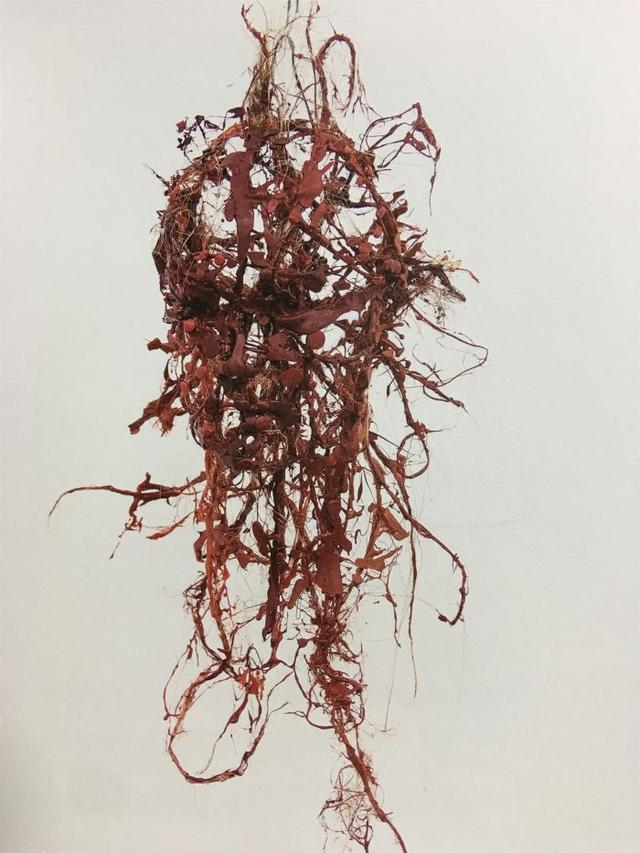 丝路种子：2018 青年艺术家邀请展