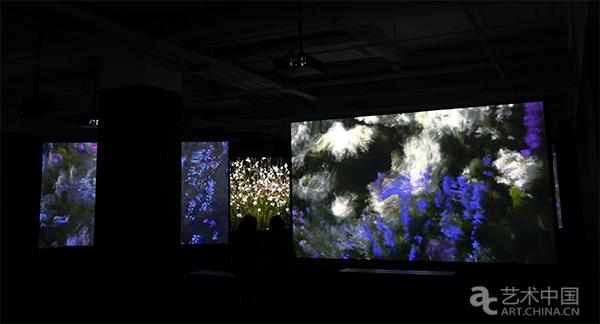 夏日花园，系列高清视频，2016，7频投影、7声道，600x337cm/每屏