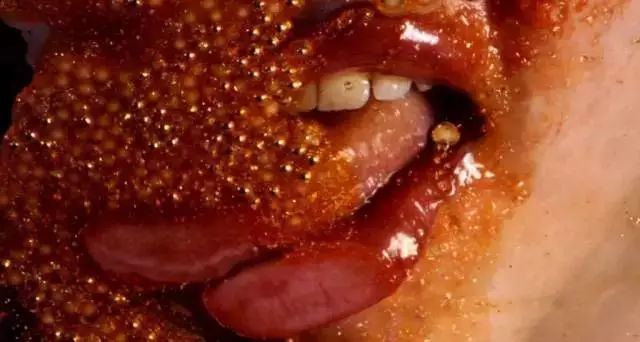 MARILYN MINTER（前卫摄影师）Green Pink Caviar (2008)