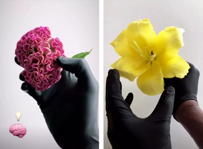 美好而易逝的“花鞋”