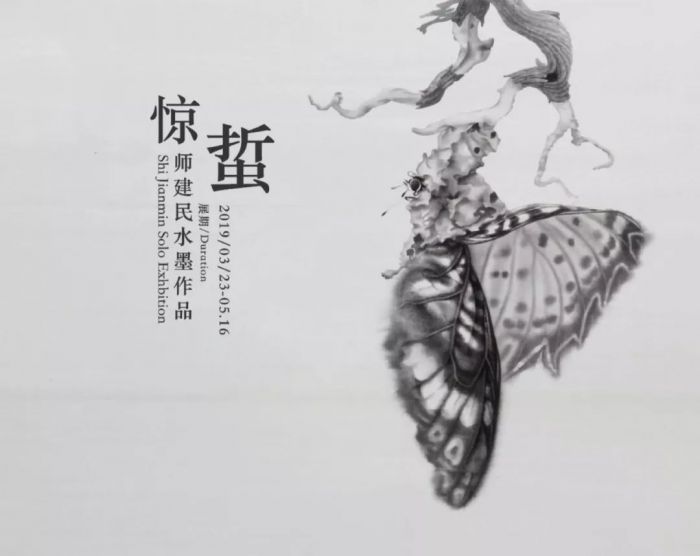 师建民个展《惊蛰》在“T6画廊”盛大开幕！