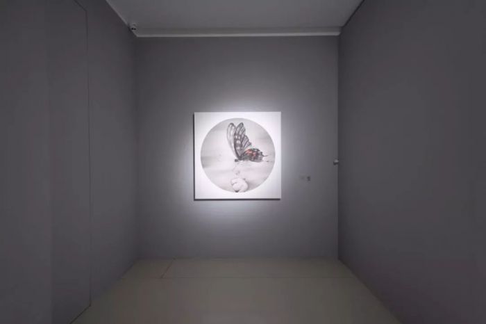 师建民个展《惊蛰》在“T6画廊”盛大开幕！