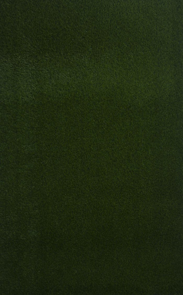 唐骁fake grass 160cmx100cm 人造草皮，有机玻璃 artificial grass,plexiglass 2017
