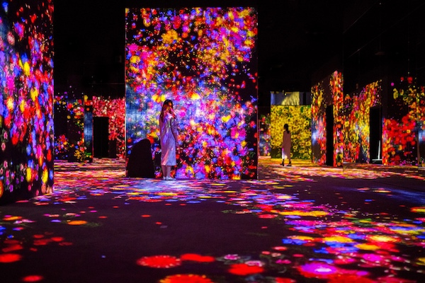 teamLab Borderless 东京展《花舞森林》