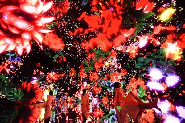 teamLab Planets东京展《漂浮于落花世界》