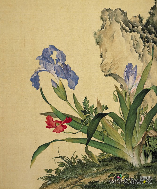 郎世宁《仙萼长春图册-石竹》