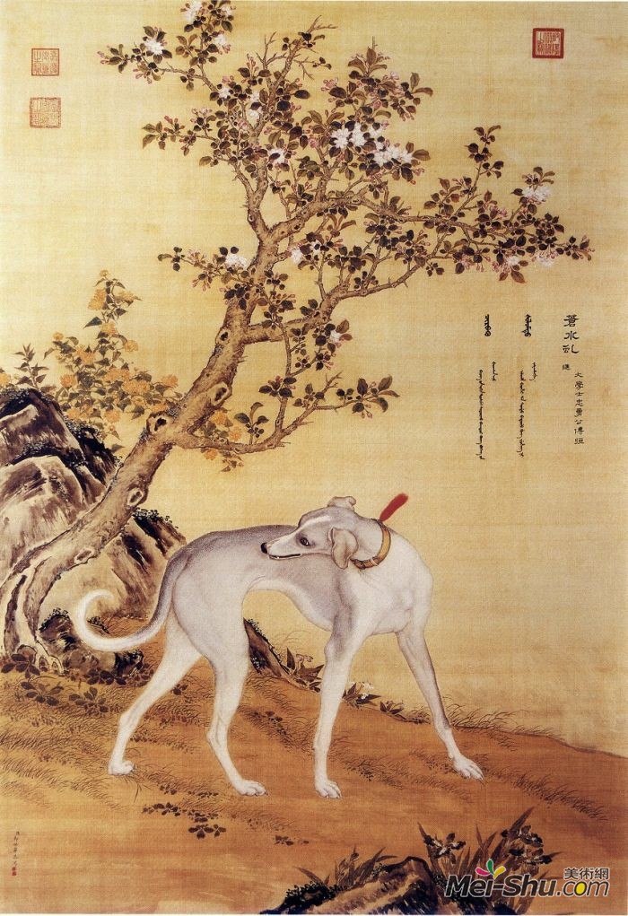 郎世宁《十骏犬图之一 苍水虬》