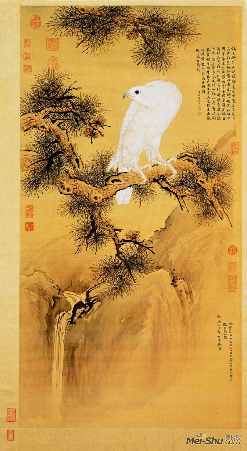 郎世宁《白鹘图》