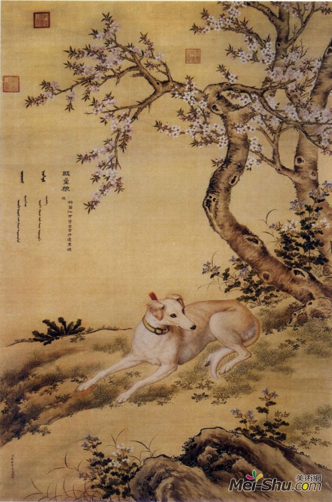 郎世宁《十骏犬图之八 睒星狼》