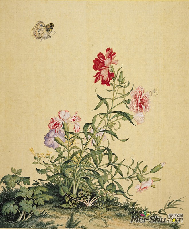 郎世宁《仙萼长春图册—牡丹》