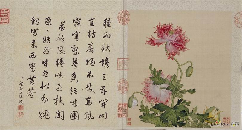 郎世宁《花鸟图册》北京故宫博物院藏3