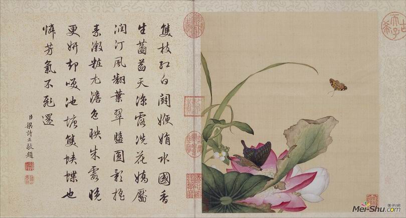 郎世宁《花鸟图册》北京故宫博物院藏7