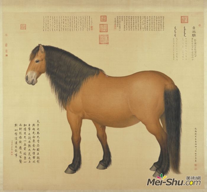 郎世宁《十骏图之自在驈》
