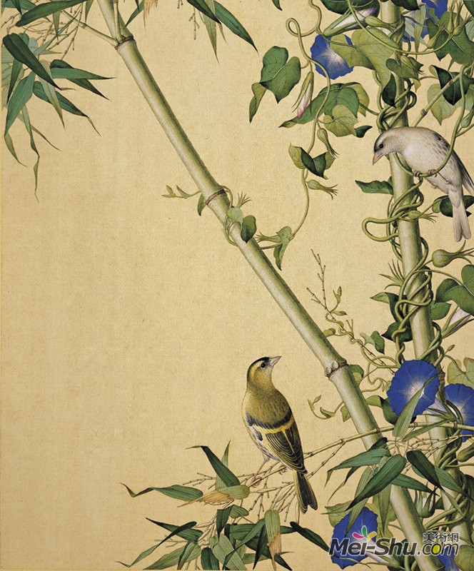 郎世宁《仙萼长春图册-翠竹牵牛》