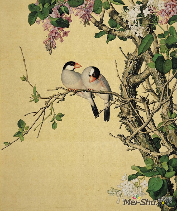 郎世宁《仙萼长春图册-紫白丁香》