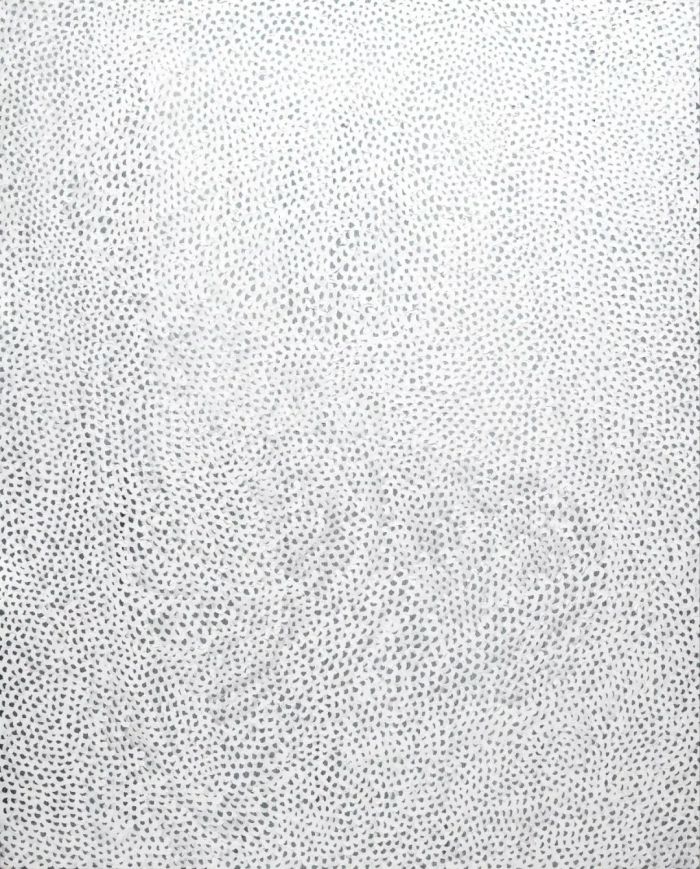 81