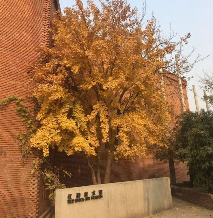 卡普尔作品首现中国